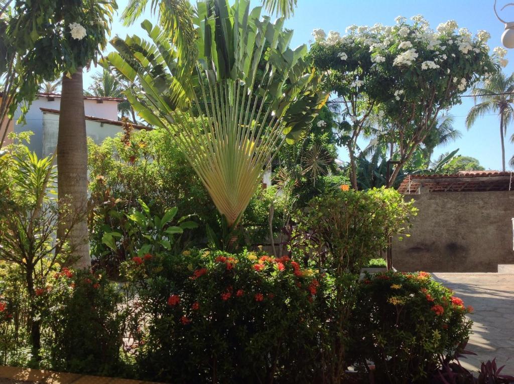 Apartamentos La Piazzetta Duplex Praia de Pipa Kültér fotó